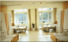 节日庆典如春节“家庭团聚宴”、沉阳青团”手